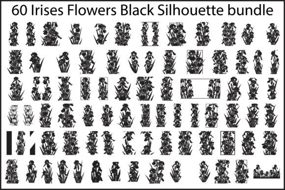 60 Irises Flowers Black Silhouette Graphics & Illustrations