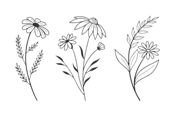 Birth Month Flowers: Elegant Graphics & Illustrations