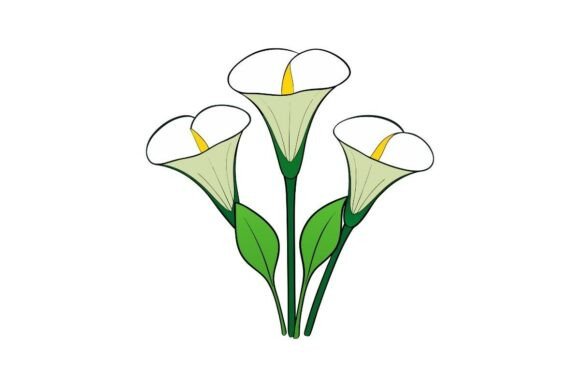 Calla Lily Flowers Cartoon Illustration for Graphics