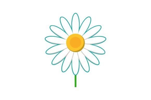 Daisy Flowers Cartoon Graphic PNG