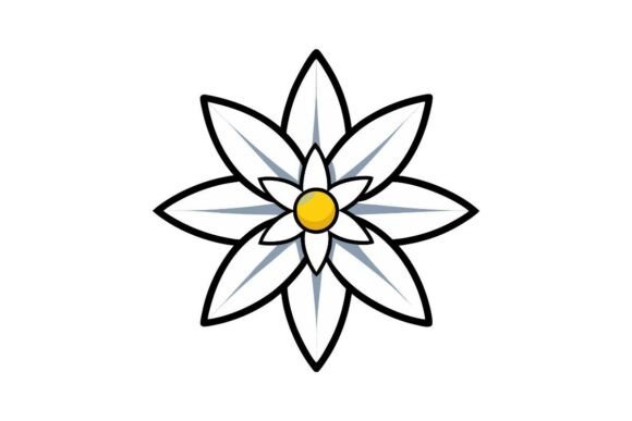 Edelweiss Flowers Clipart PNG: Graphics & Illustrations