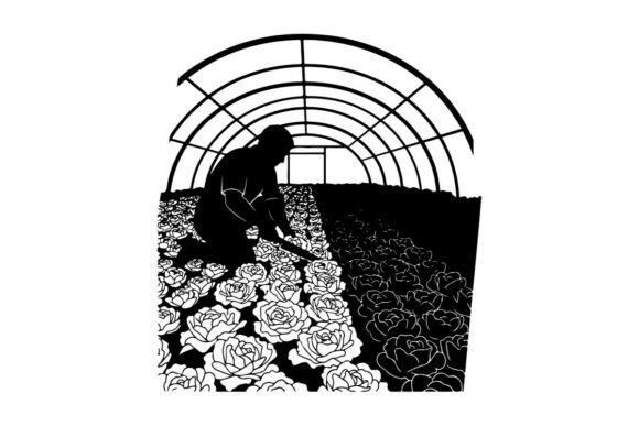 Farmer Harvesting Roses: Greenhouse Graphics & Illustrations