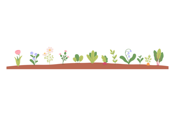 Wild Flower Graphics: A Designer's Review